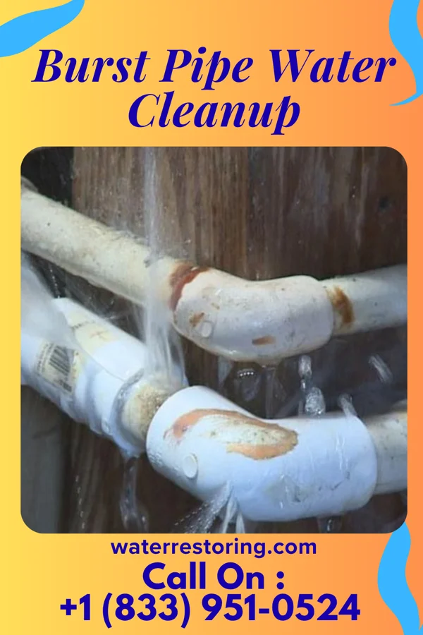 Burst Pipe Water Cleanup in Sierra Brooks, CA