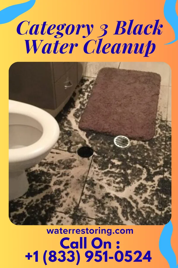 Category 3 Black Water Cleanup in Sierra Brooks, CA